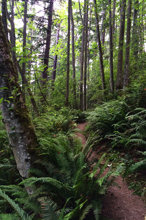 Arboretum Trail